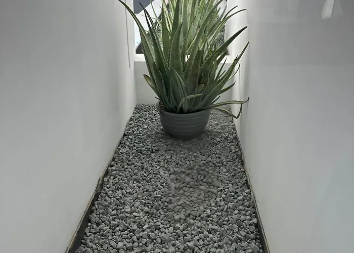 Nesseus Lux - Near Unic & Euc Ayios Dhometios